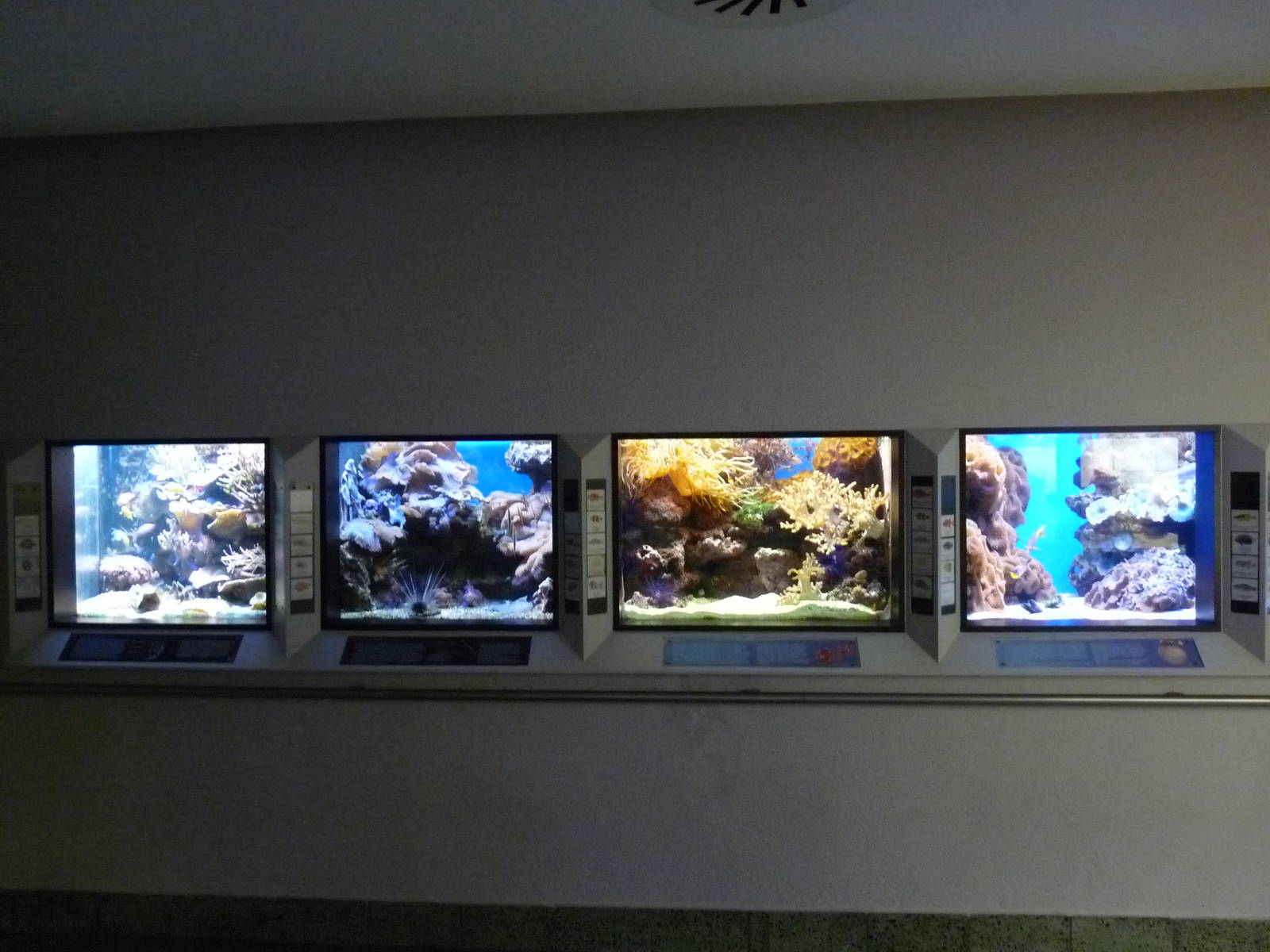 Karlsruhe Aquarium