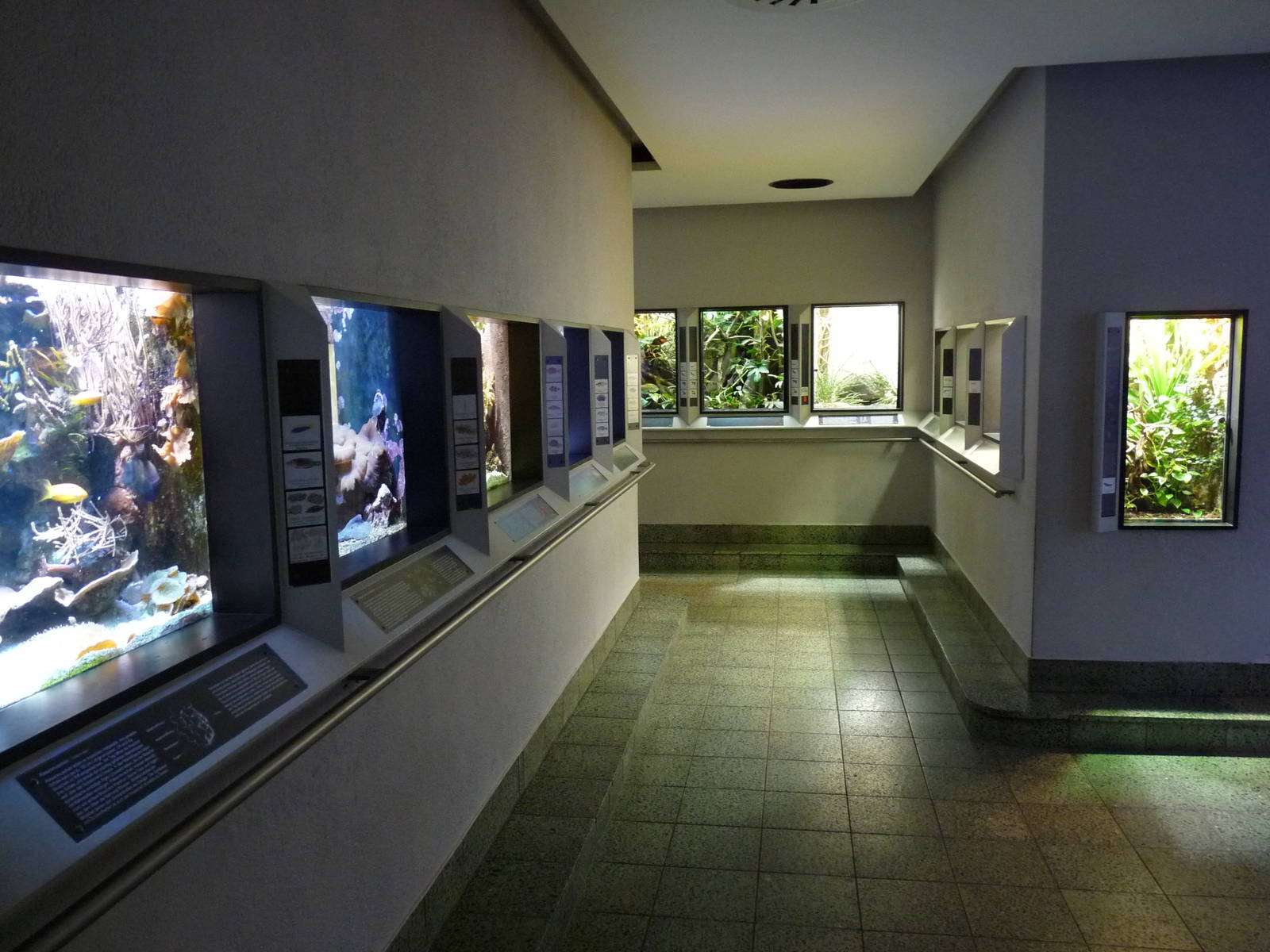 Karlsruhe Aquarium