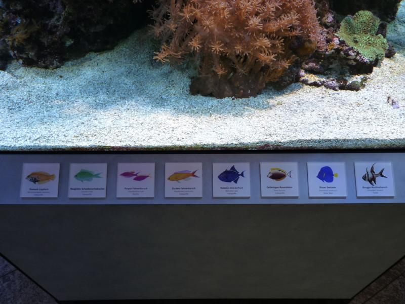 Karlsruhe Aquarium