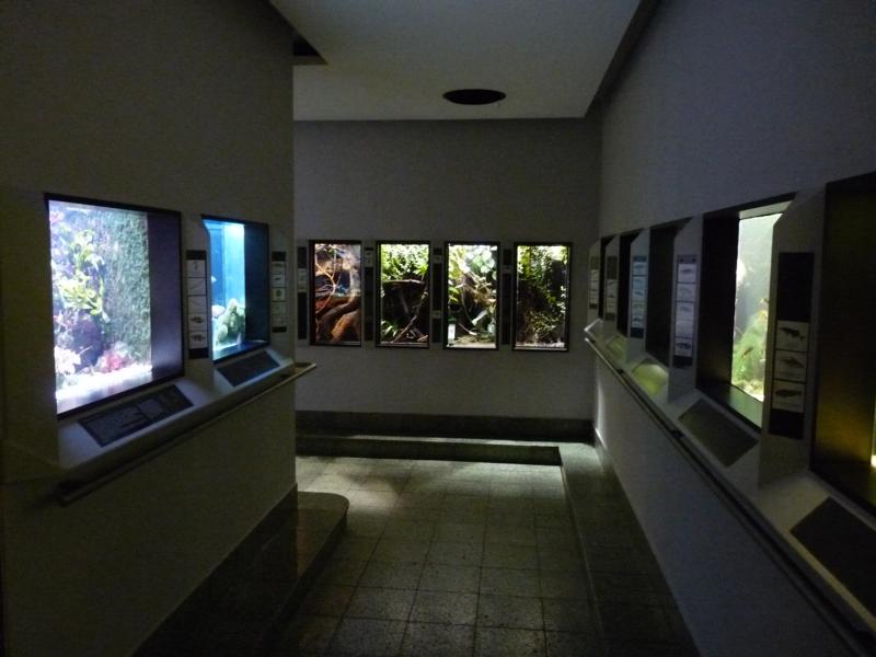 Karlsruhe Aquarium