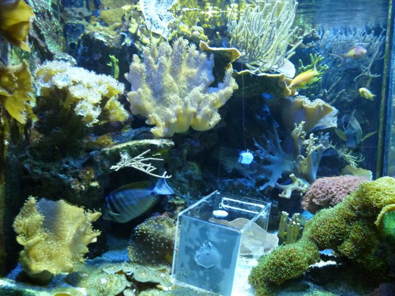 Karlsruhe Aquarium