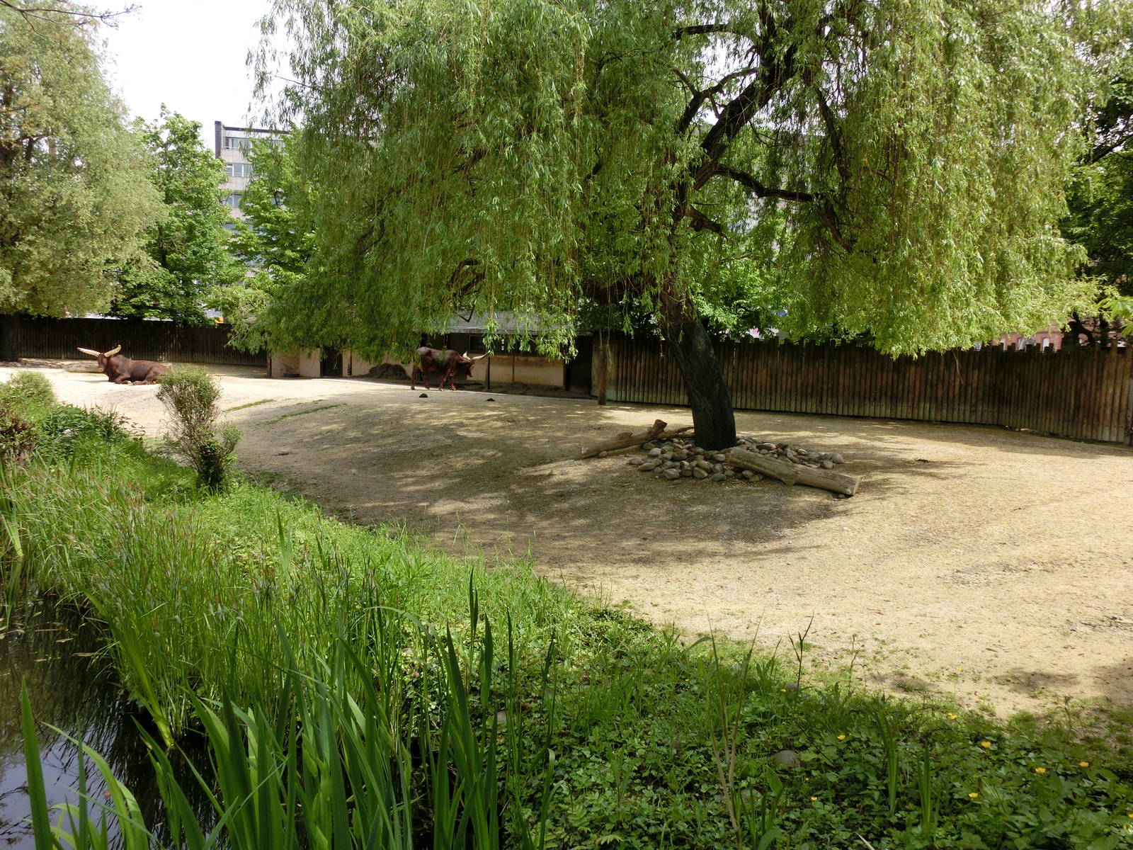 Karlsruhe Zoo - savannah exhibits