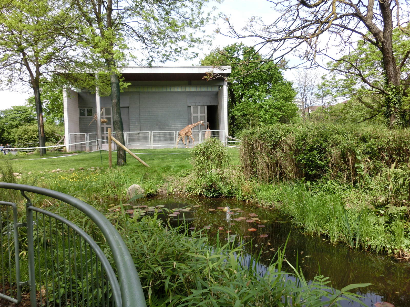Karlsruhe Zoo - savannah exhibits