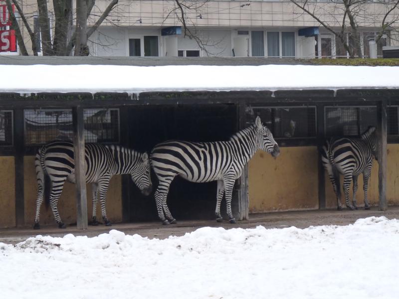Karlsruhe Zoo