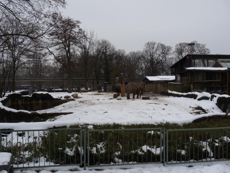 Karlsruhe Zoo