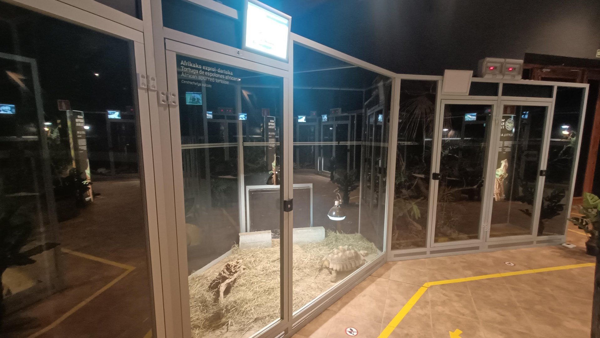 Karpín Fauna - African spurred tortoise enclosure