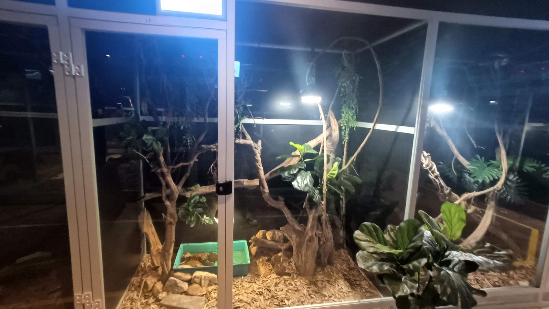 Karpín Fauna - Alligator snapping turtle enclosure