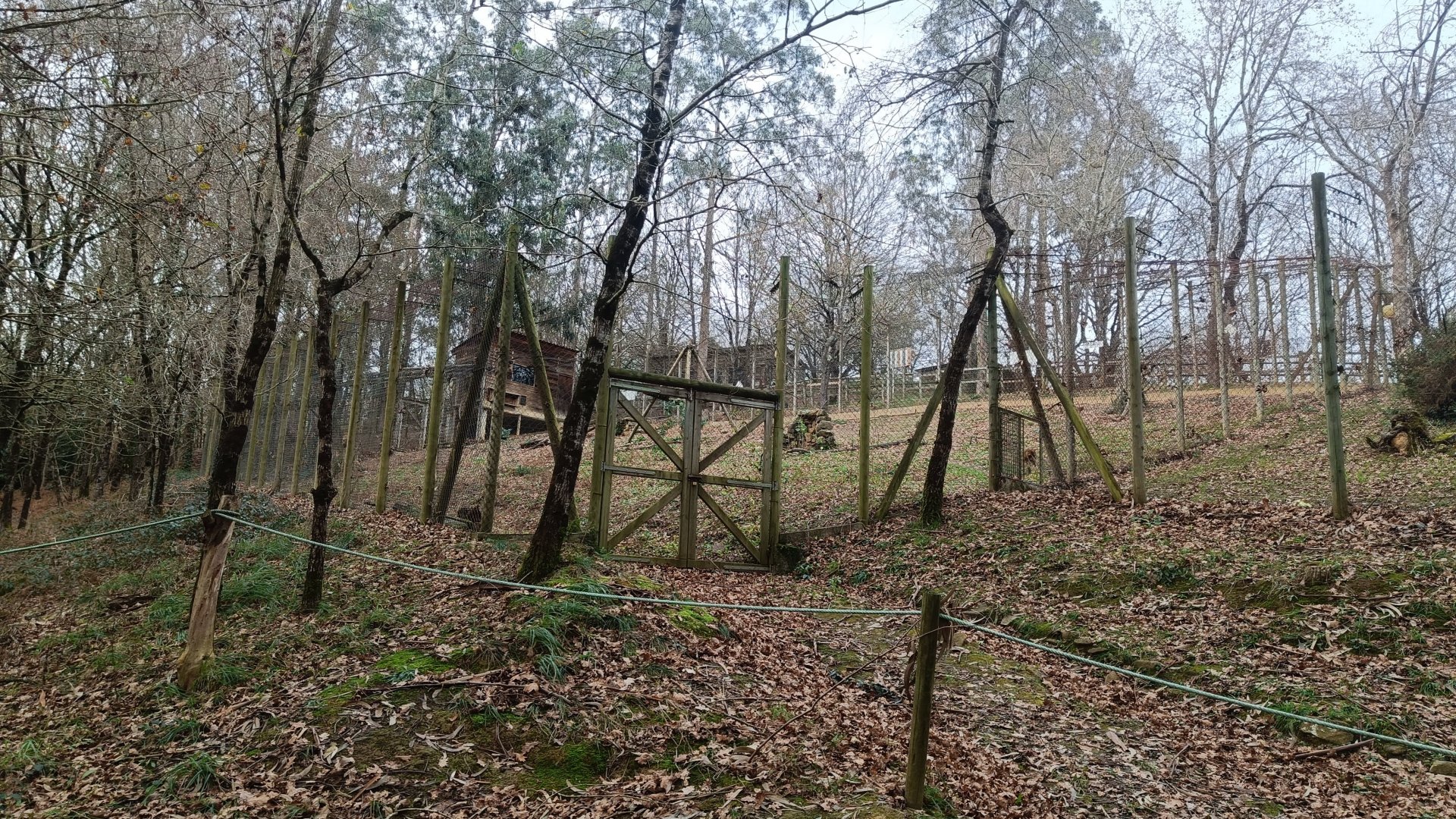 Karpín Fauna - Barbary macaque enclosure 1