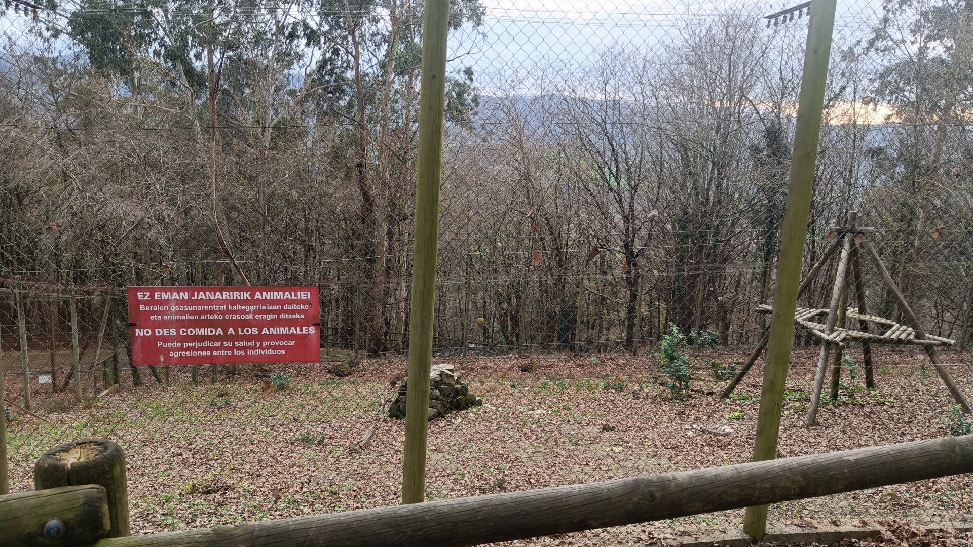 Karpín Fauna - Barbary macaque enclosure 1