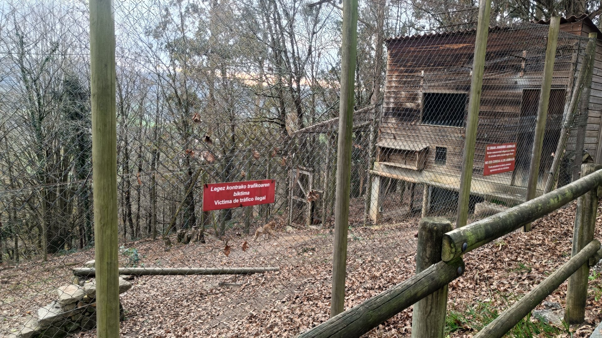 Karpín Fauna - Barbary macaque enclosure 1
