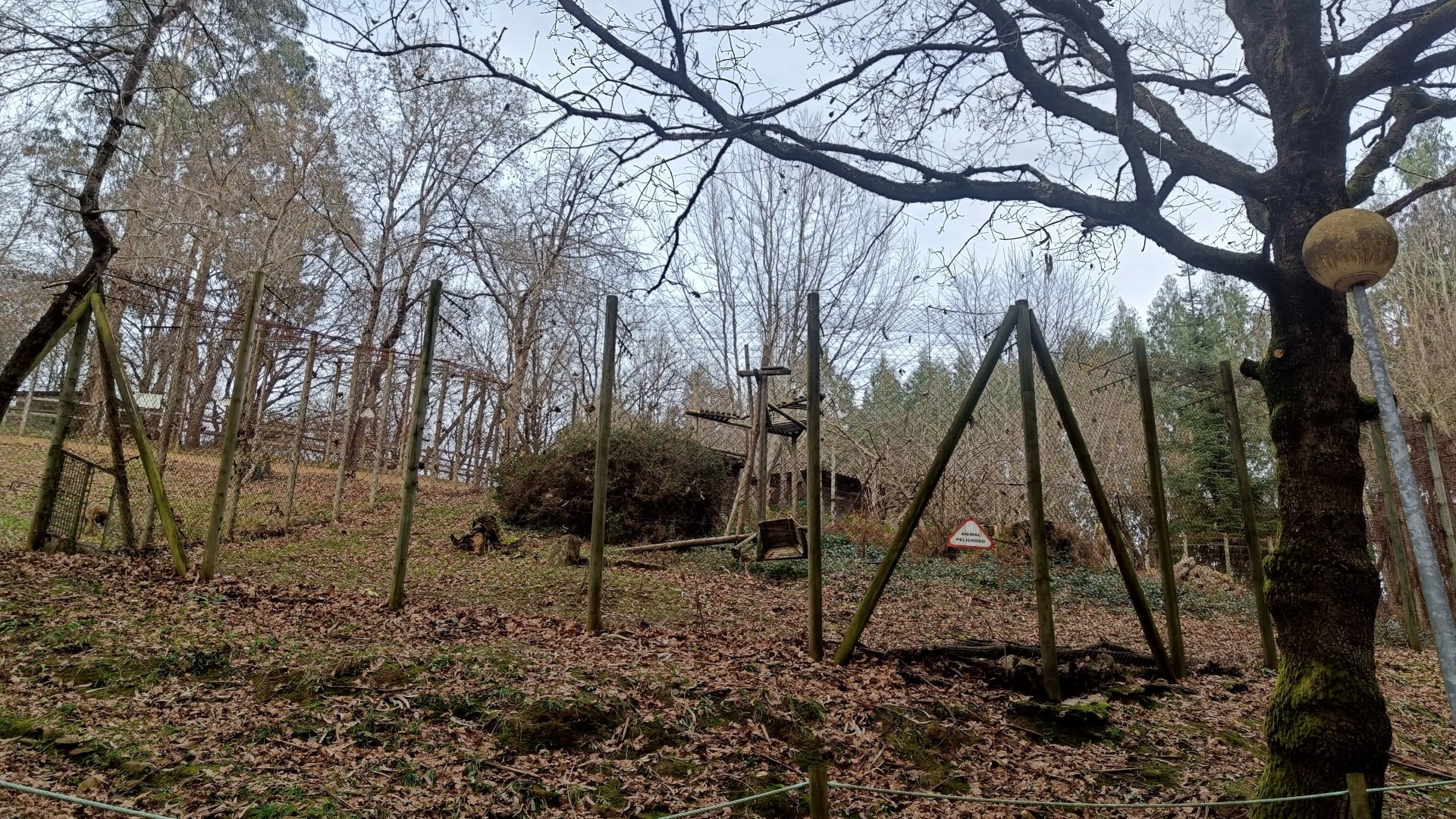 Karpín Fauna - Barbary macaque enclosure 2