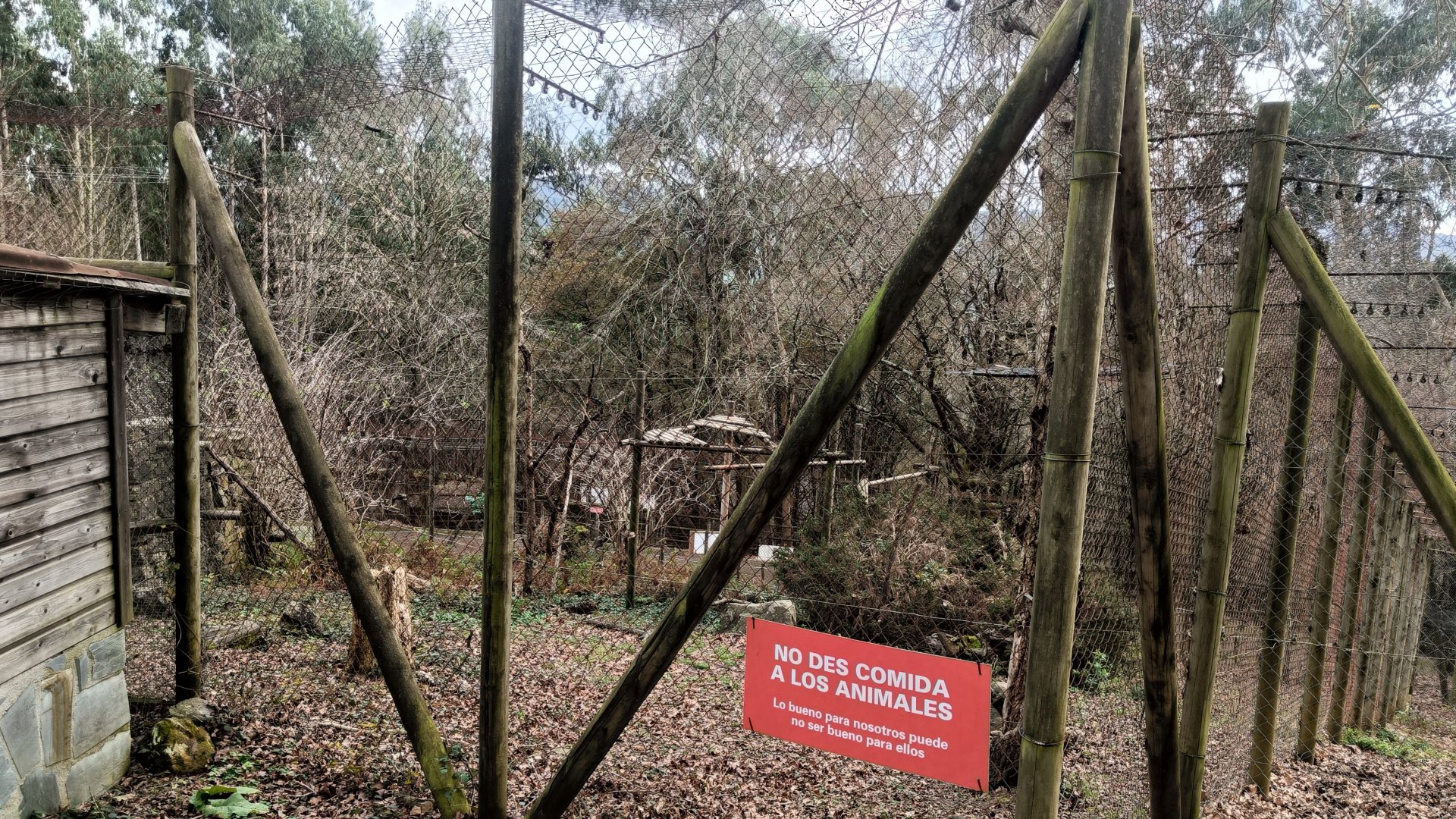 Karpín Fauna - Barbary macaque enclosure 2