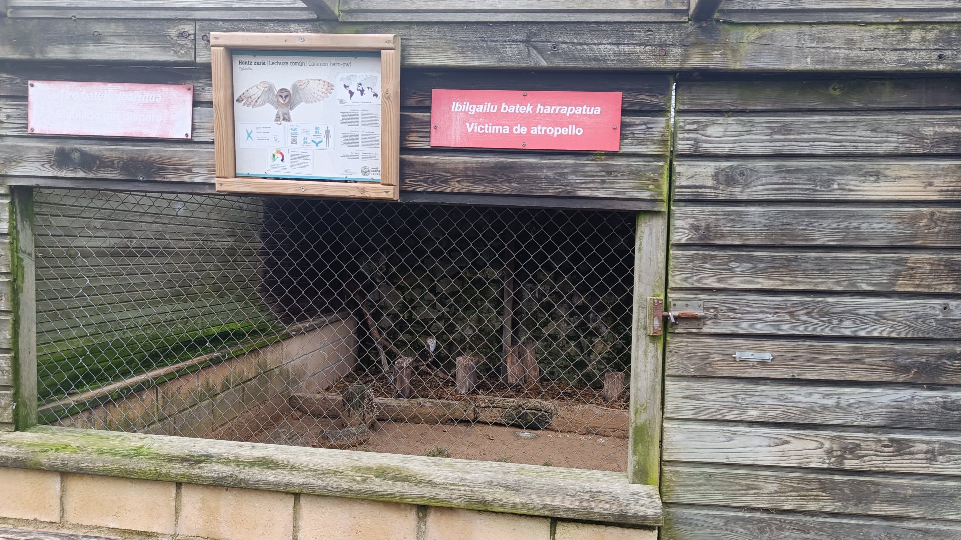 Karpín Fauna - Barn owl enclosure