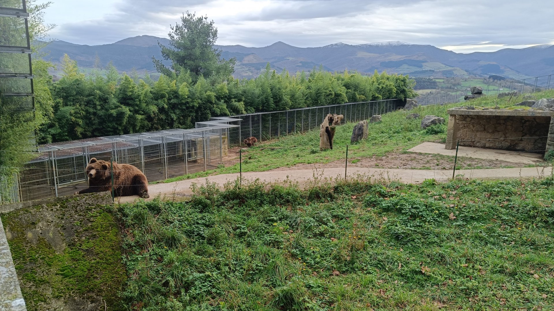 Karpín Fauna - Brown bear enclosure
