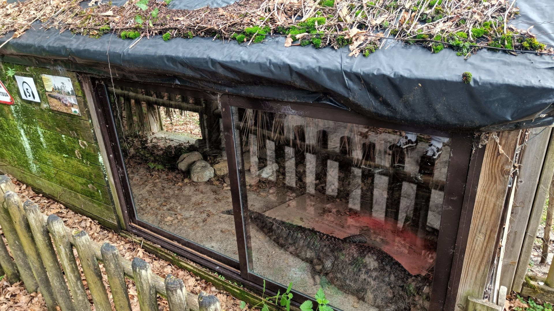 Karpín Fauna - Caiman enclosure