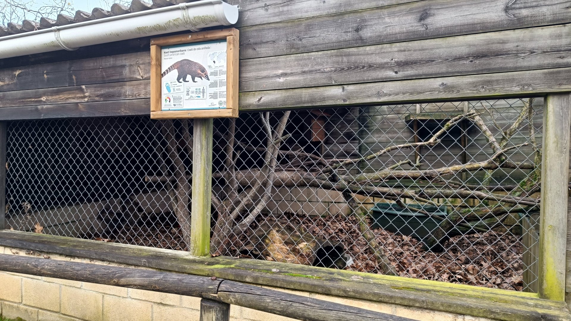 Karpín Fauna - Coati enclosure