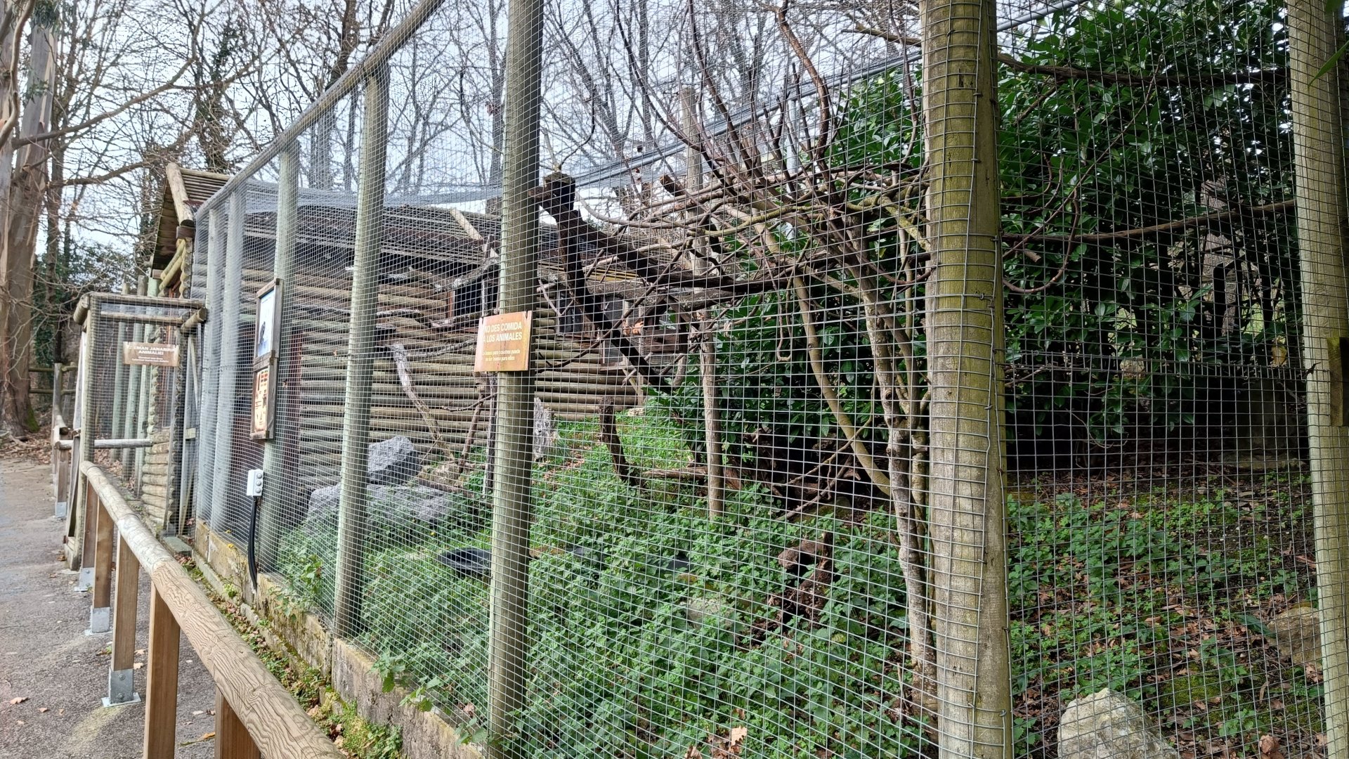 Karpín Fauna - Common marmoset enclosure