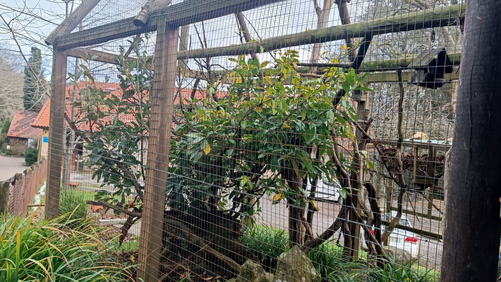 Karpín Fauna - Common marmoset enclosure