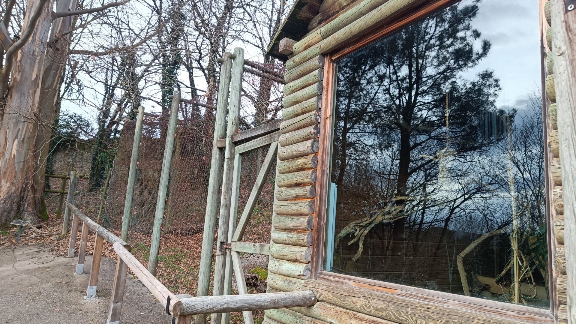 Karpín Fauna - Common marmoset indoor enclosure