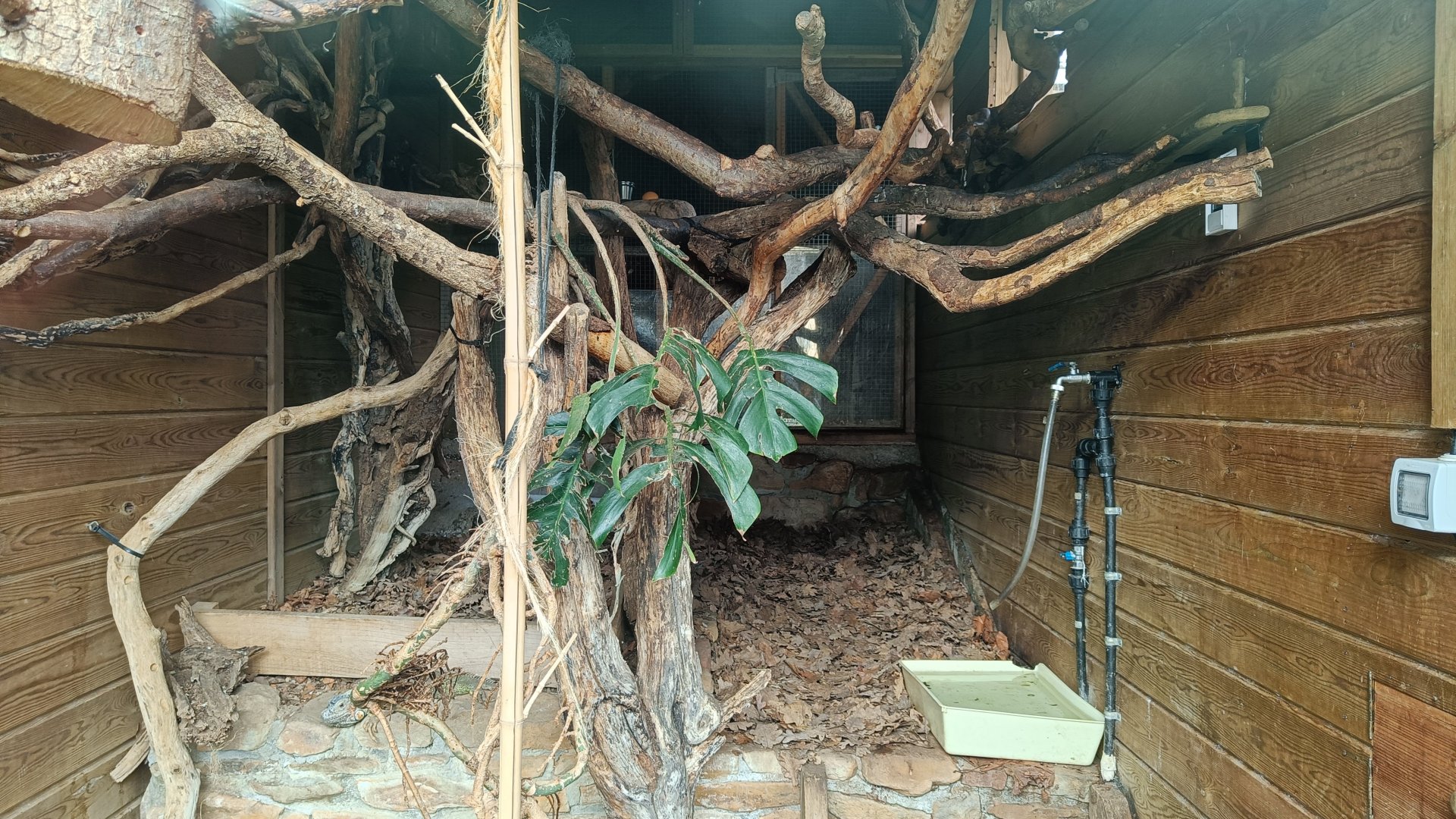 Karpín Fauna - Common marmoset indoor enclosure