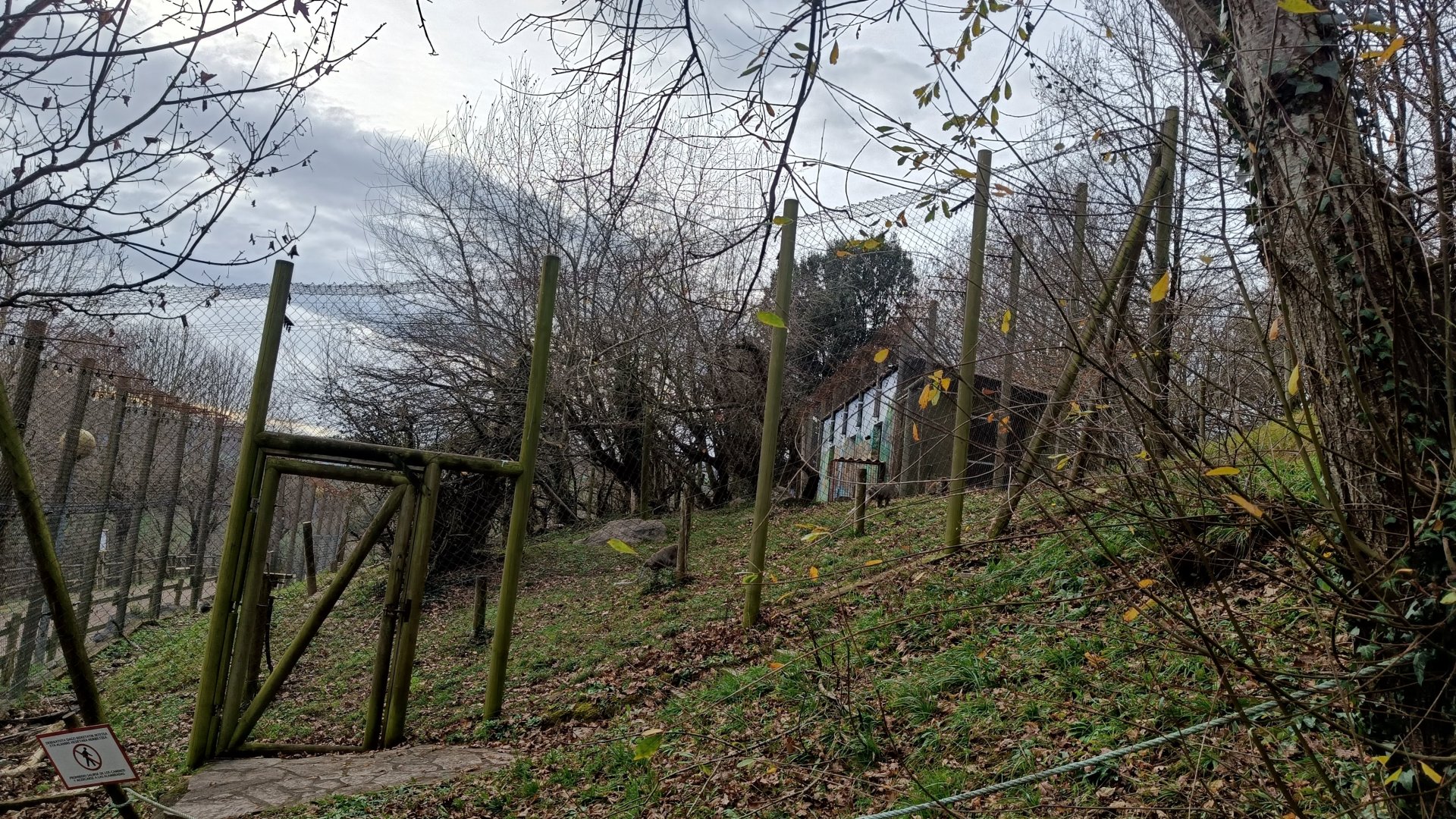 Karpín Fauna - Crab-eating macaque enclosure