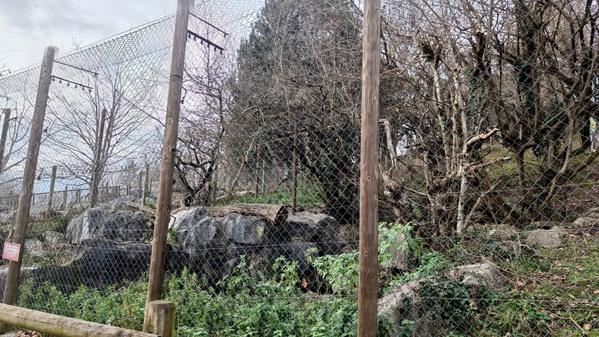 Karpín Fauna - Crab-eating macaque enclosure