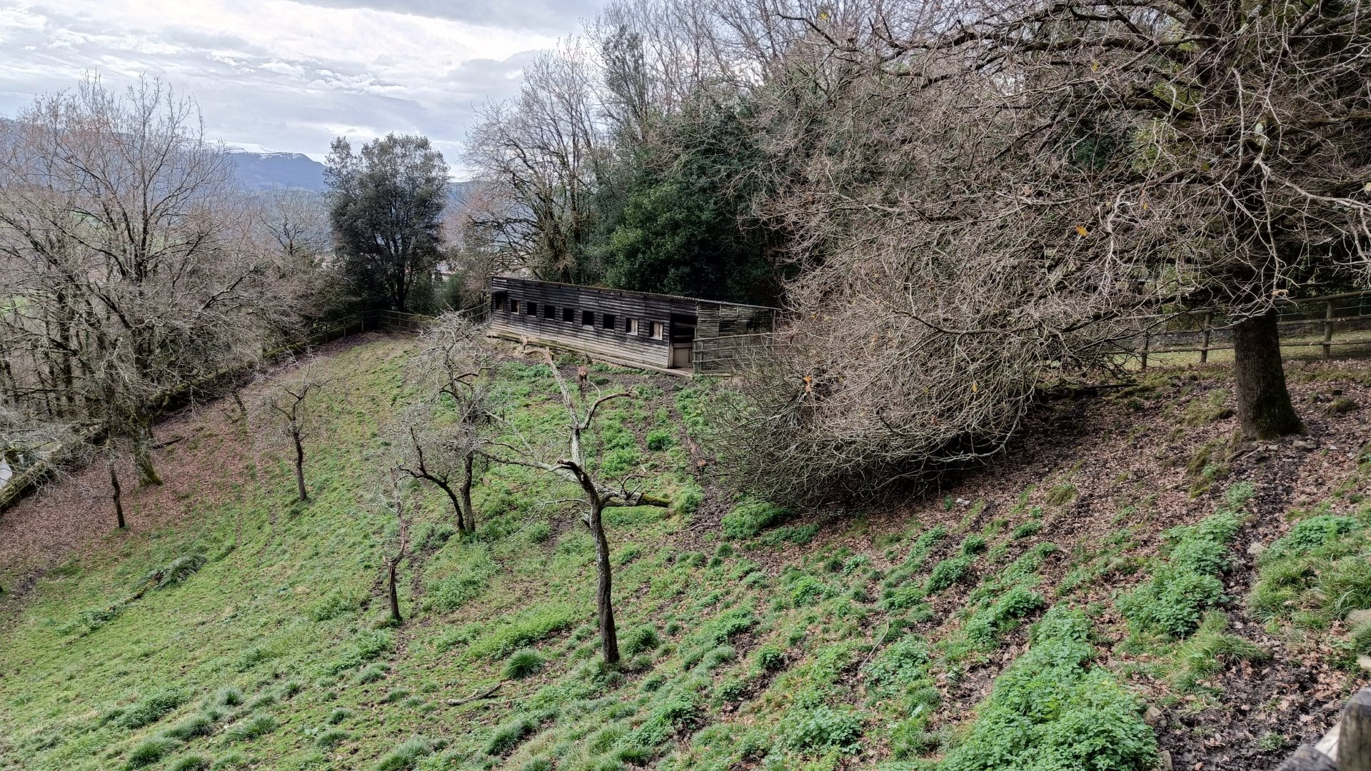 Karpín Fauna - Deer enclosure