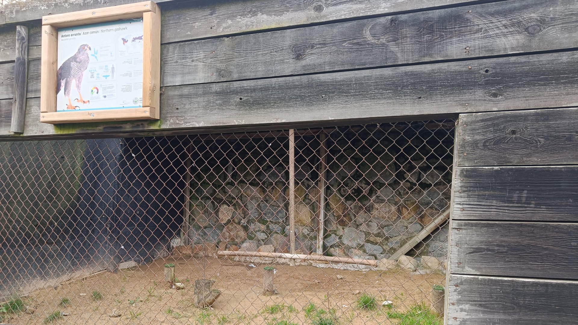 Karpín Fauna - Eurasian goshawk enclosure