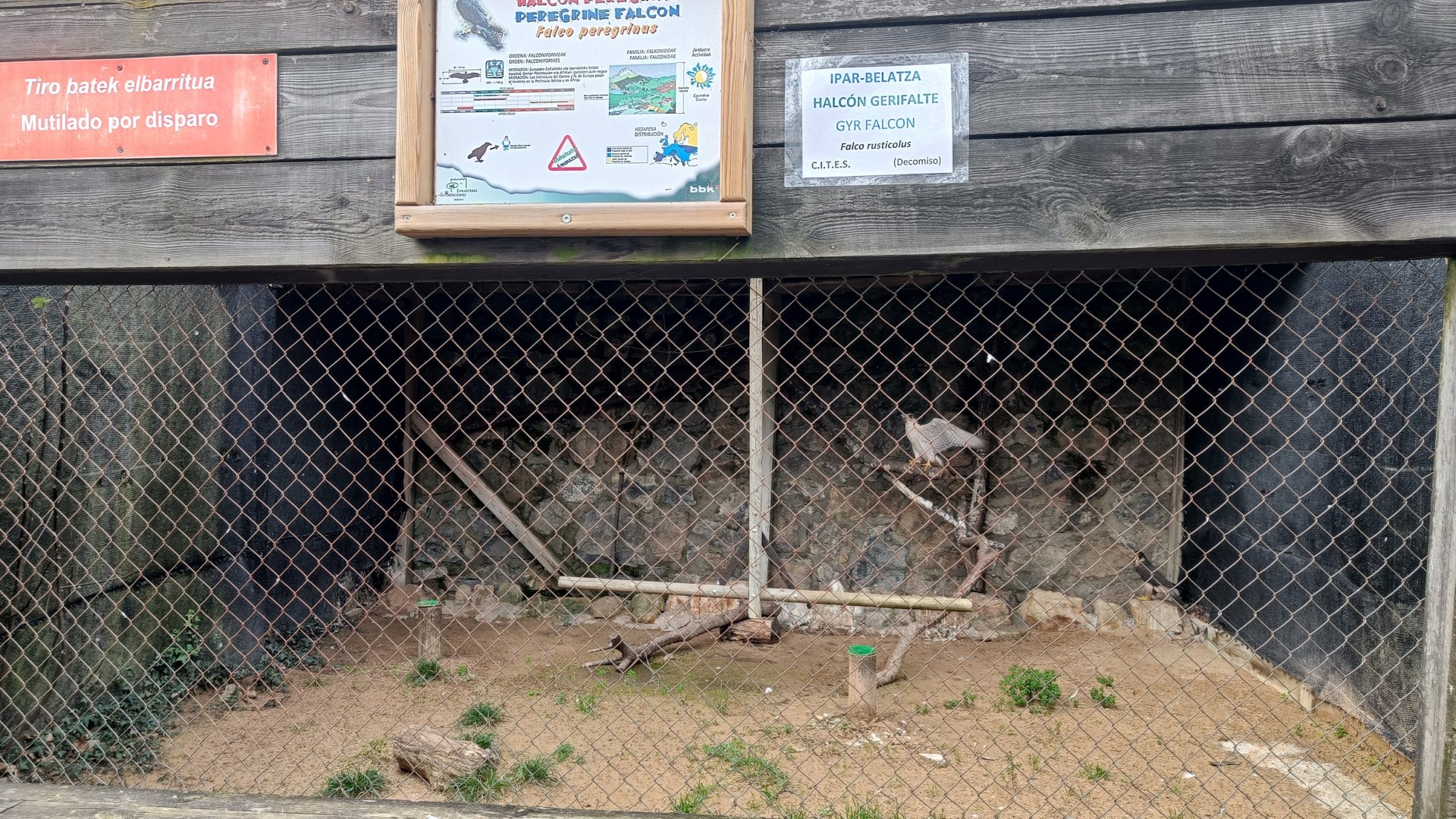 Karpín Fauna - Falcon enclosure