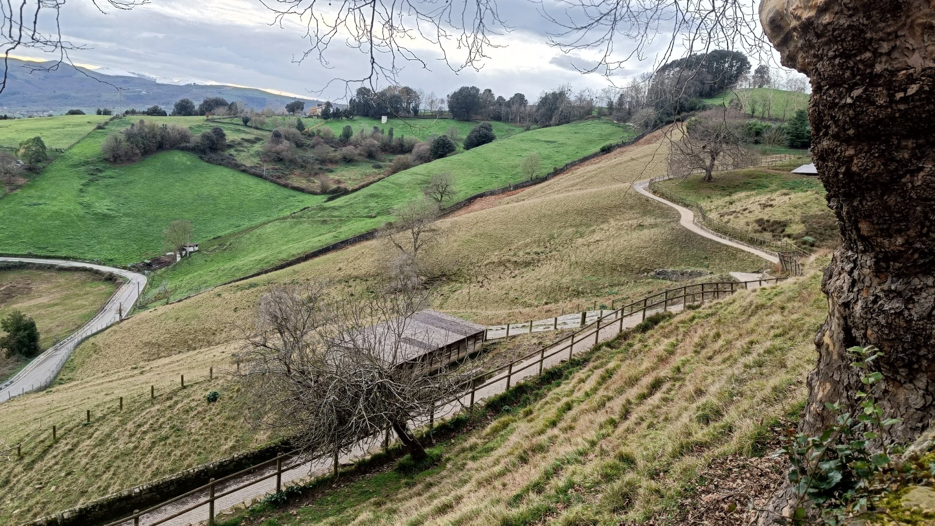 Karpín Fauna - Fallow deer enclosure