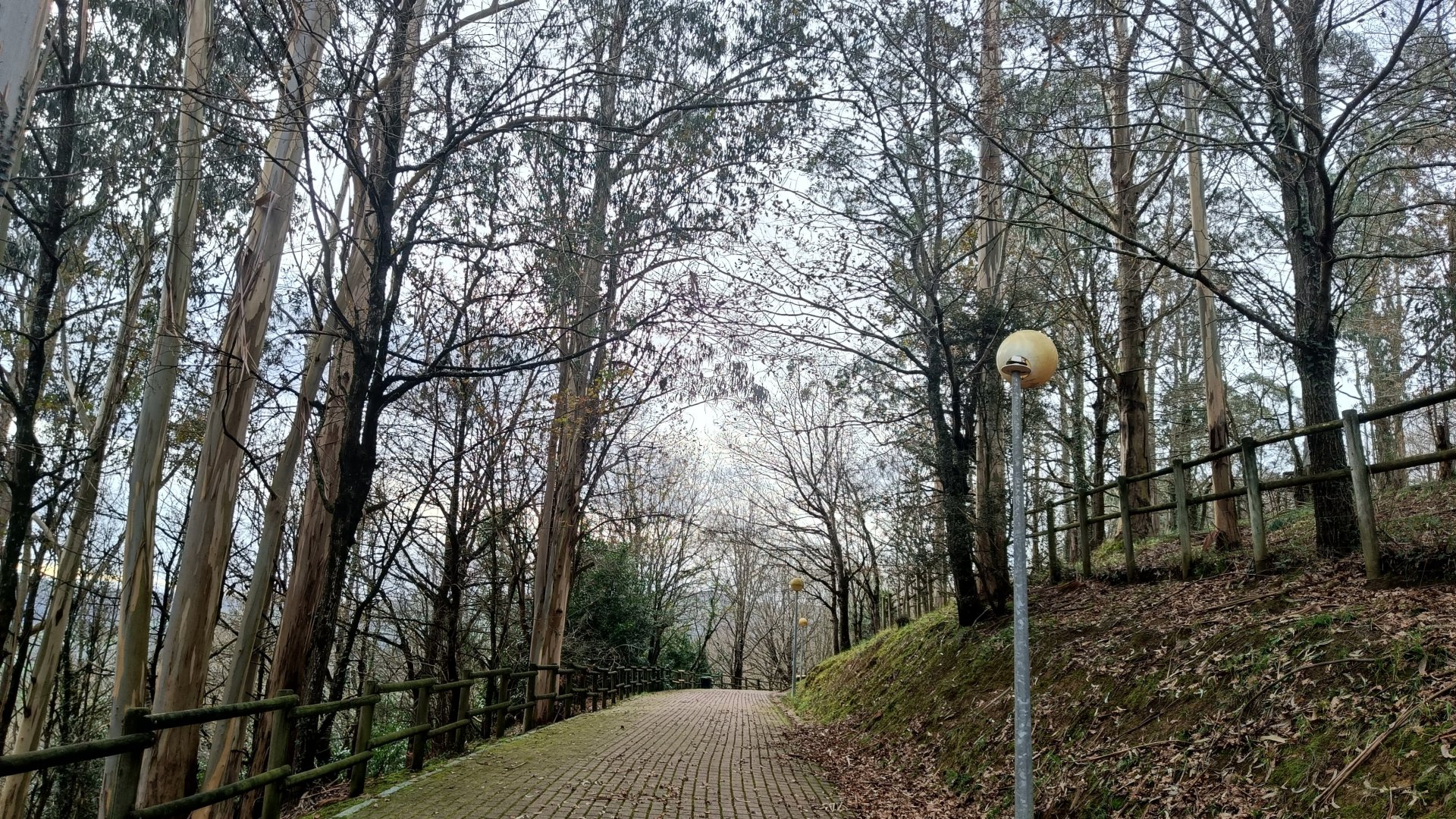 Karpín Fauna - General view