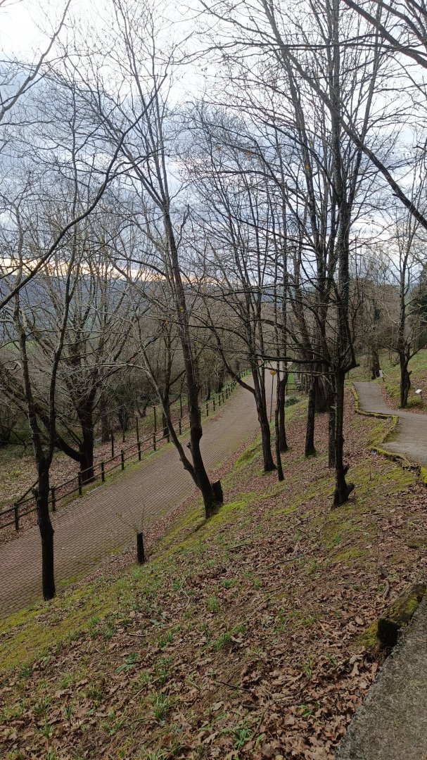 Karpín Fauna - General view