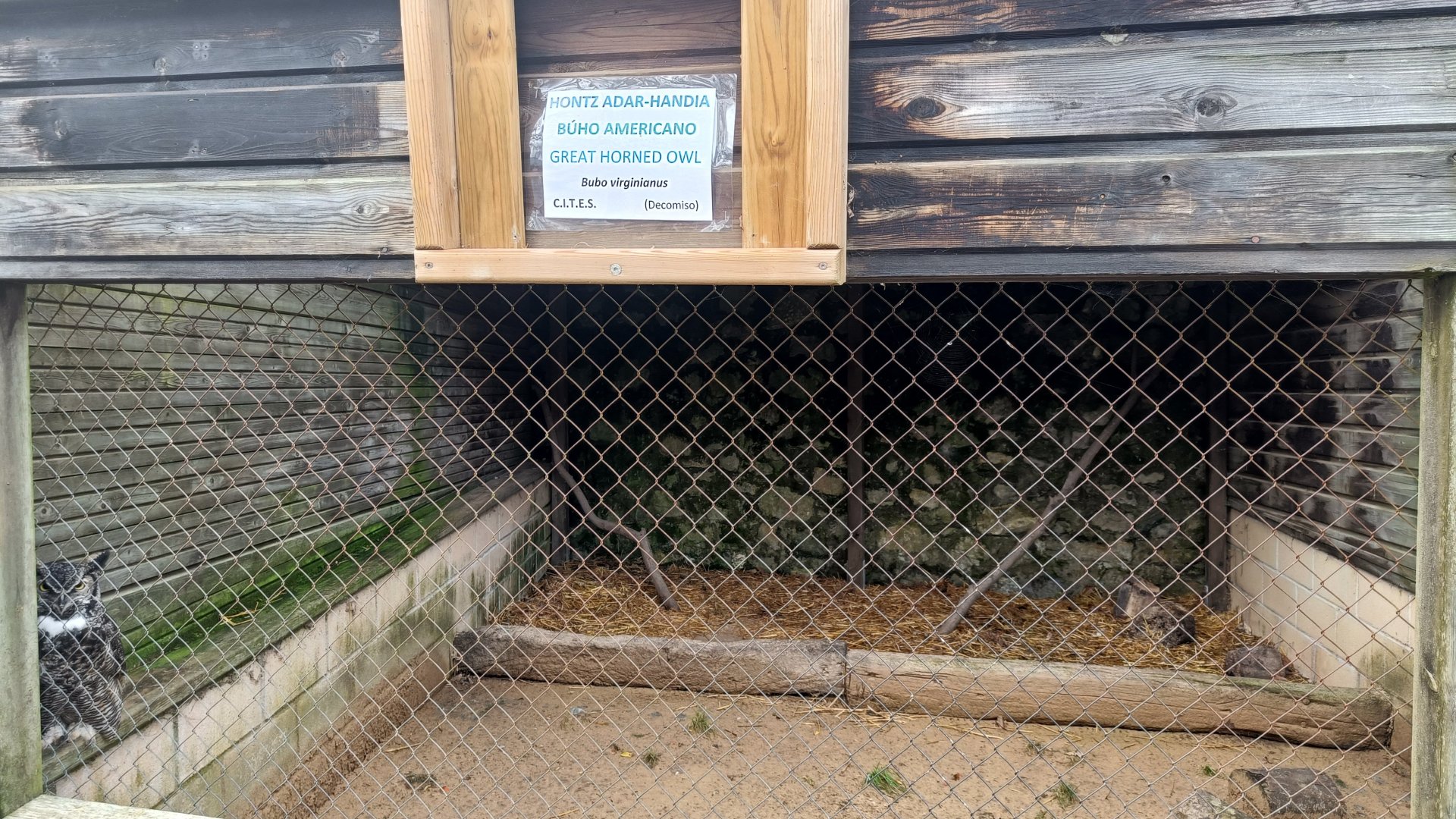 Karpín Fauna - Great horned owl enclosure