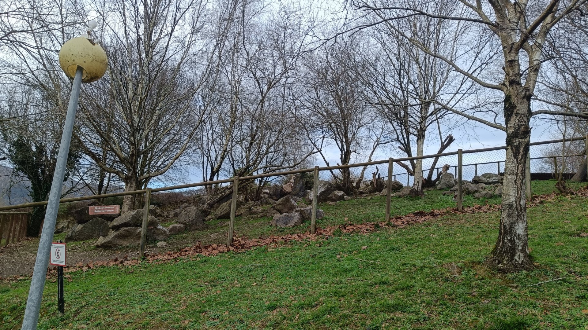 Karpín Fauna - Gryffon vulture enclosure
