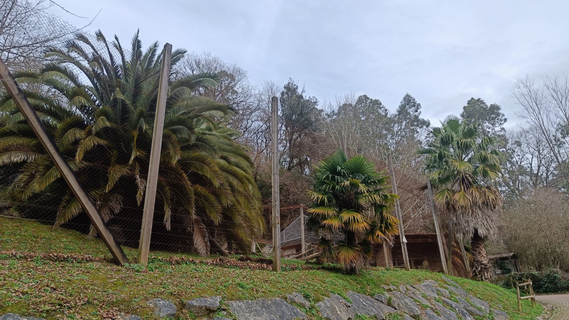 Karpín Fauna - Leopard enclosure