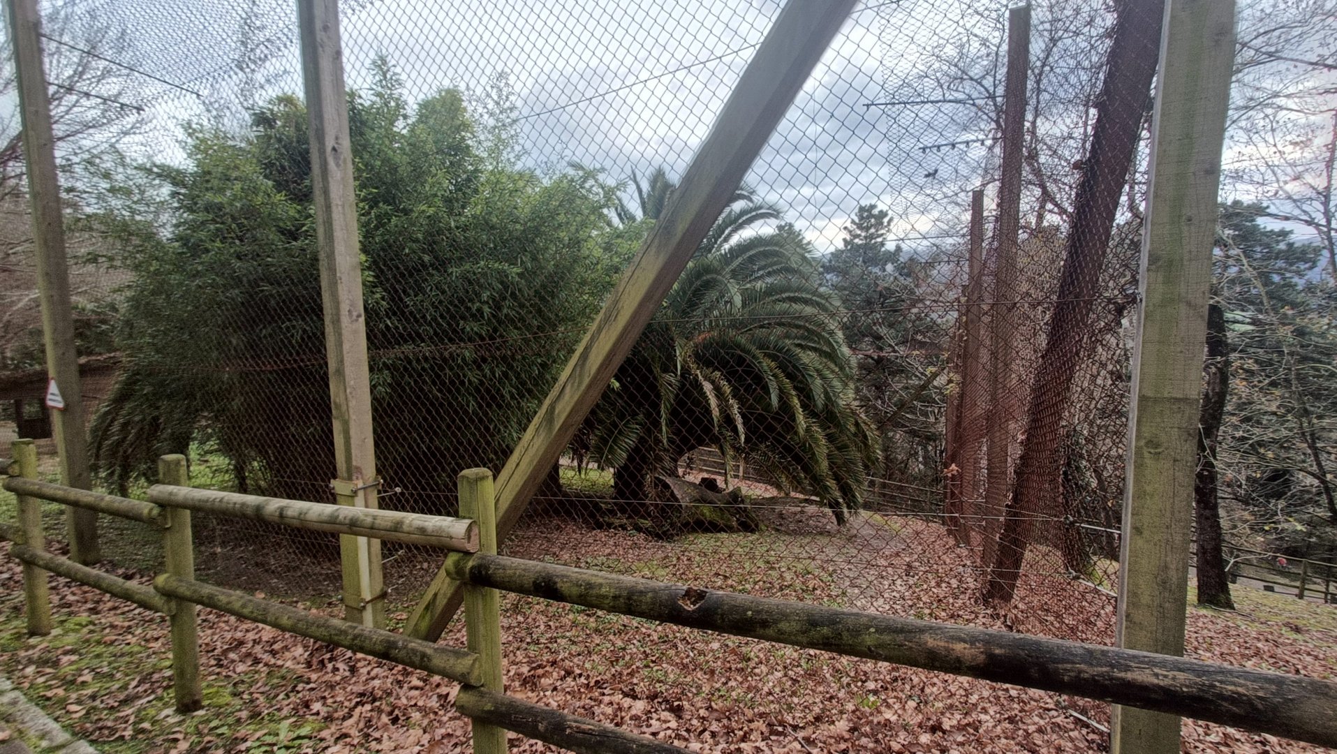 Karpín Fauna - Leopard enclosure