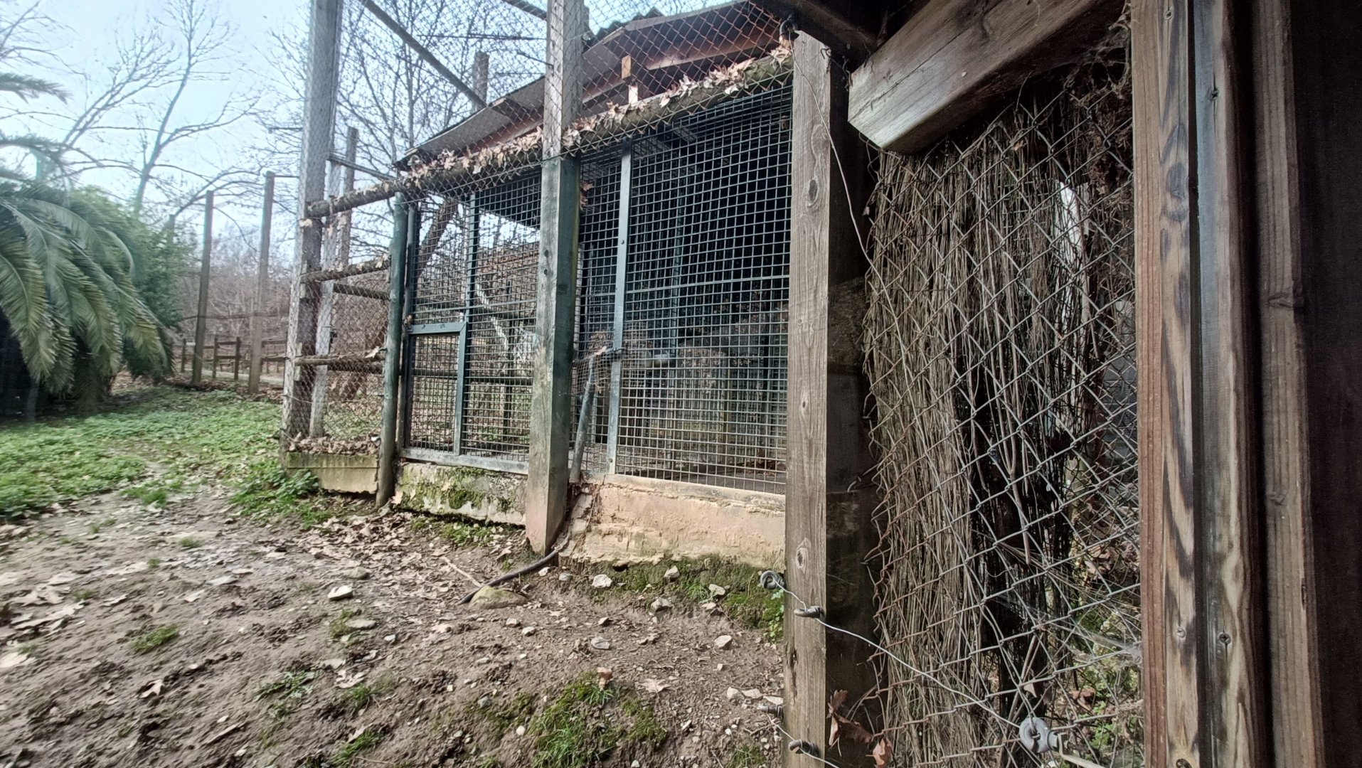 Karpín Fauna - Leopard indoor enclosure