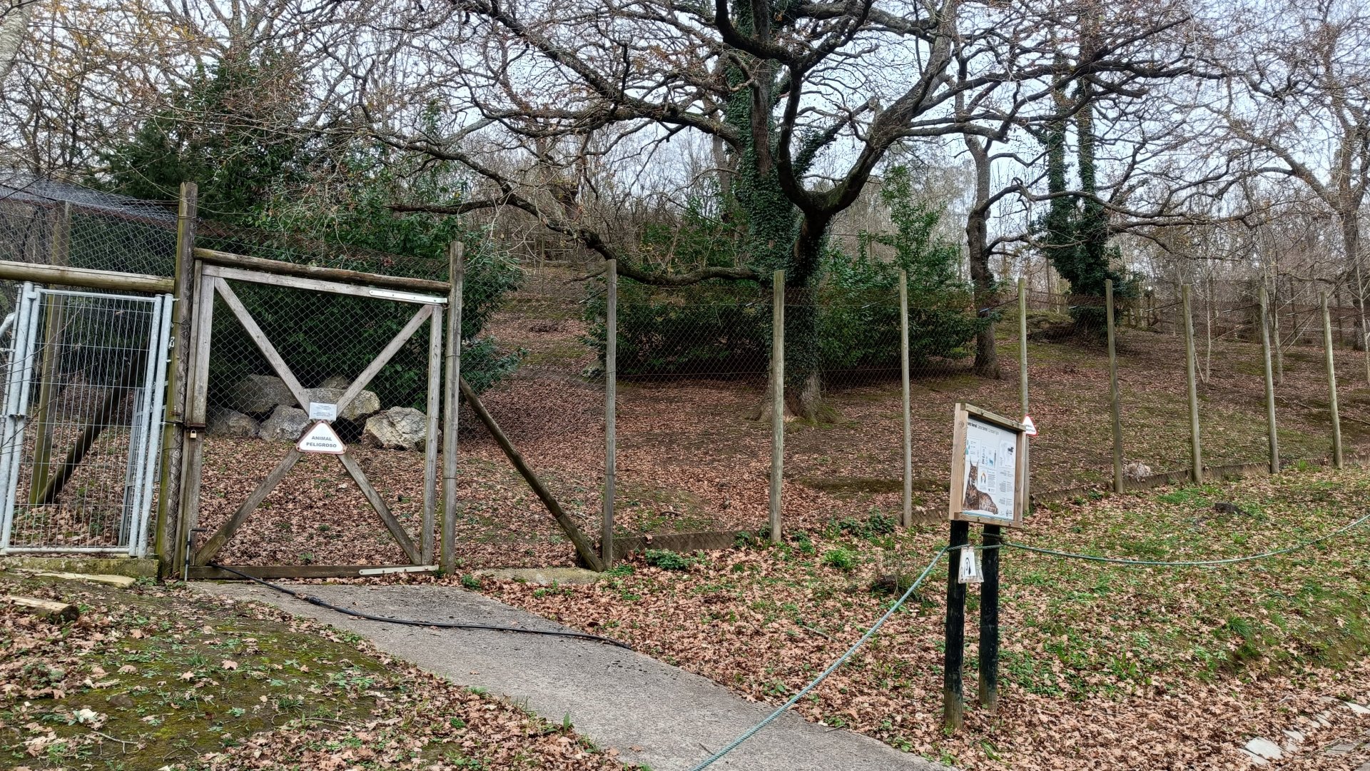 Karpín Fauna - Lynx enclosure