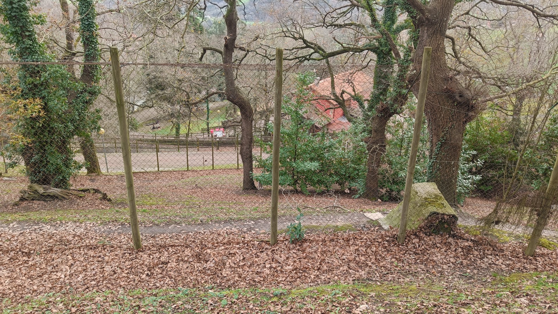 Karpín Fauna - Lynx enclosure