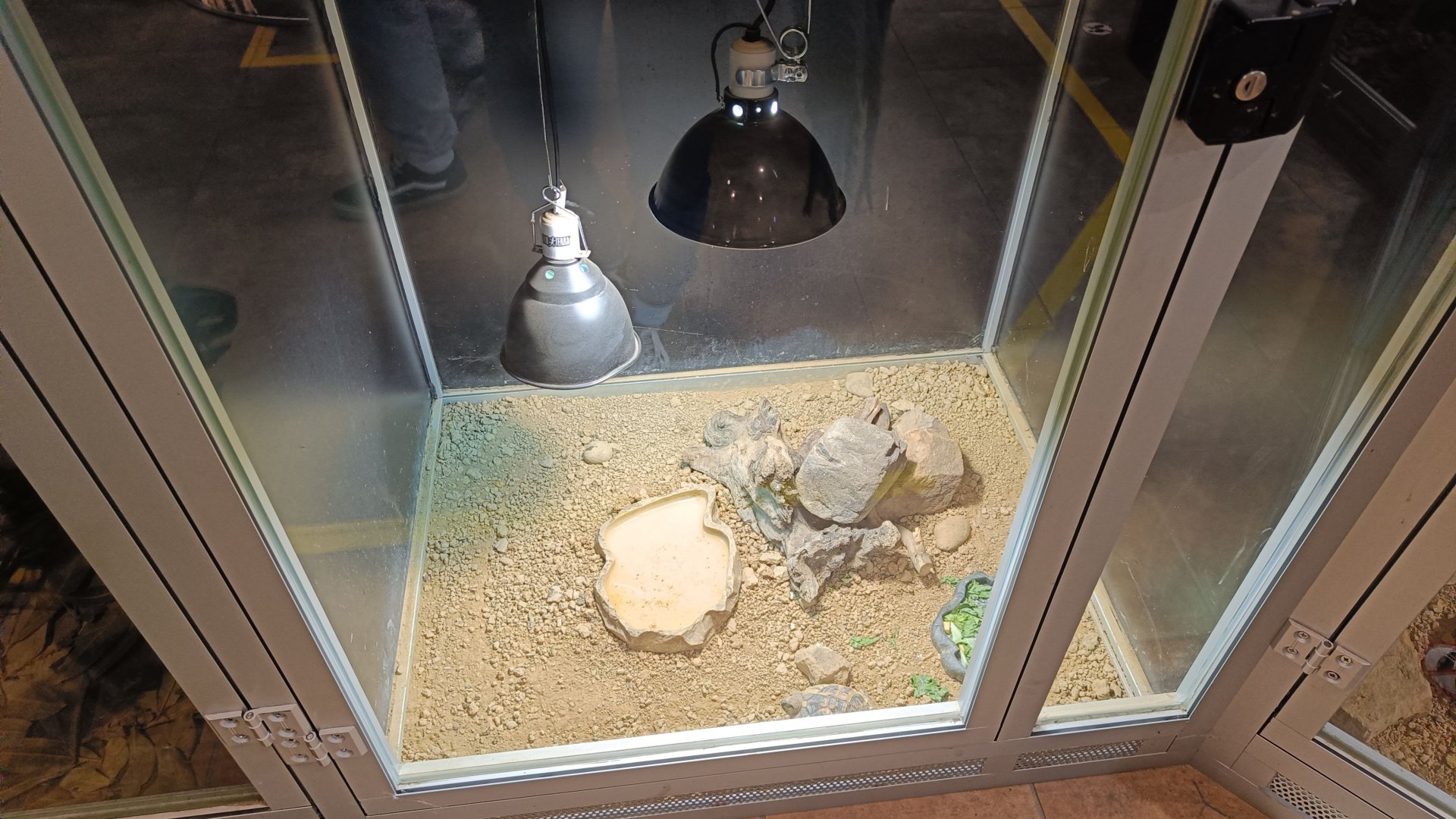 Karpín Fauna - Mediterranean tortoise enclosure