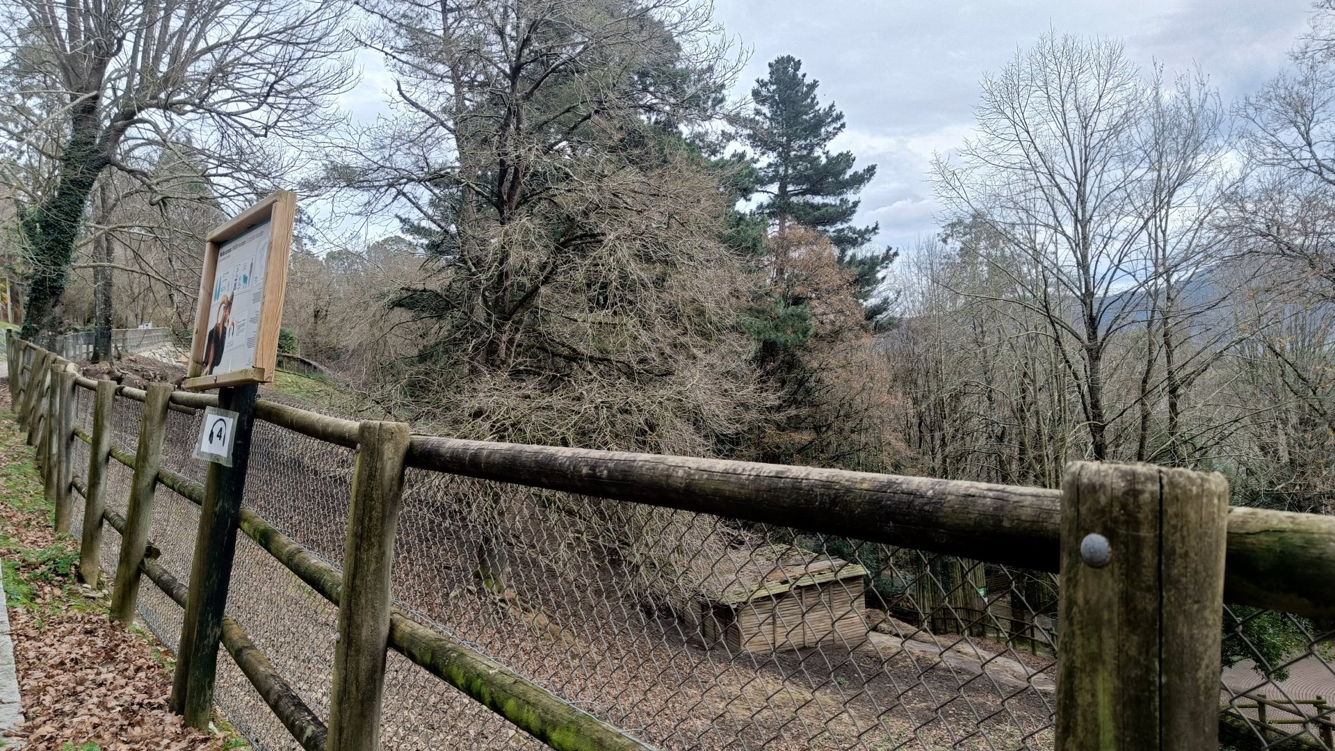 Karpín Fauna - Mouflon enclosure
