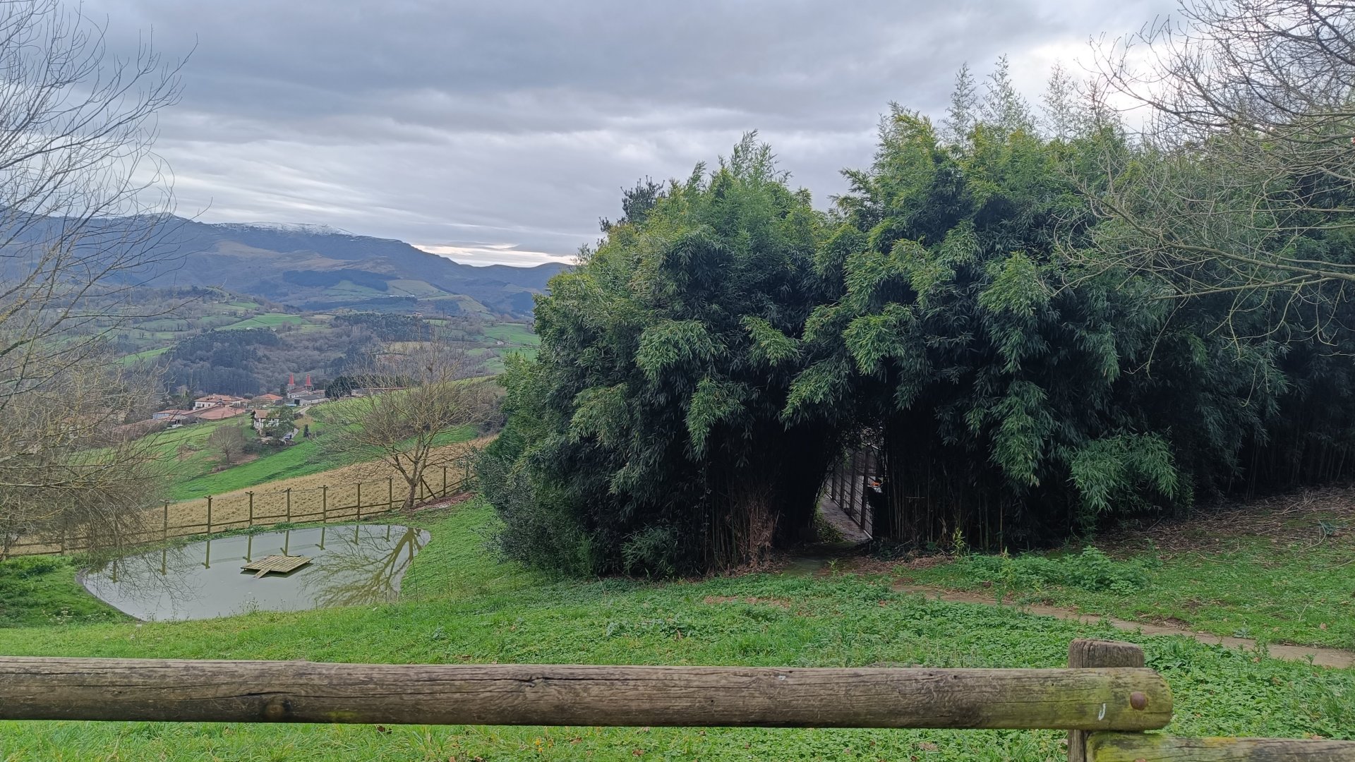 Karpín Fauna - Mute swan enclosure