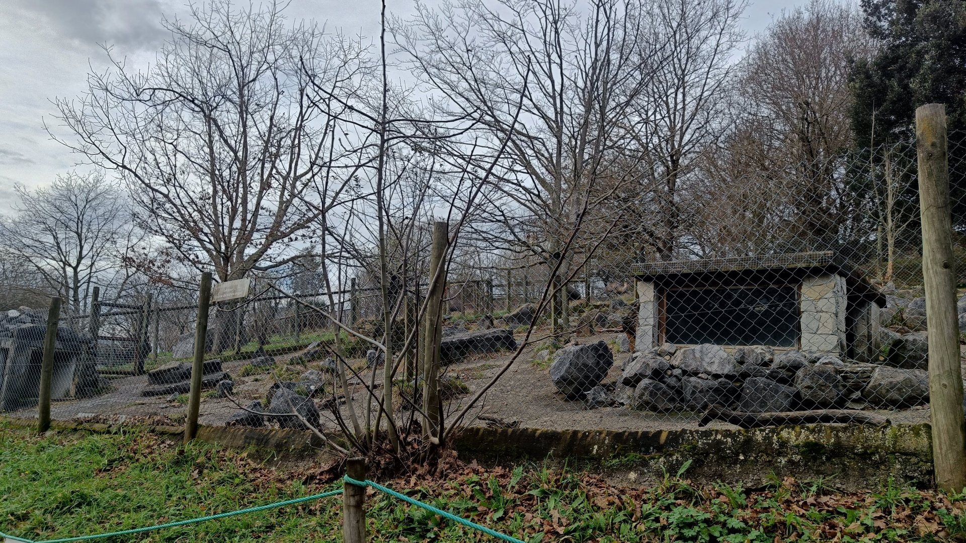 Karpín Fauna - Porcupine enclosure