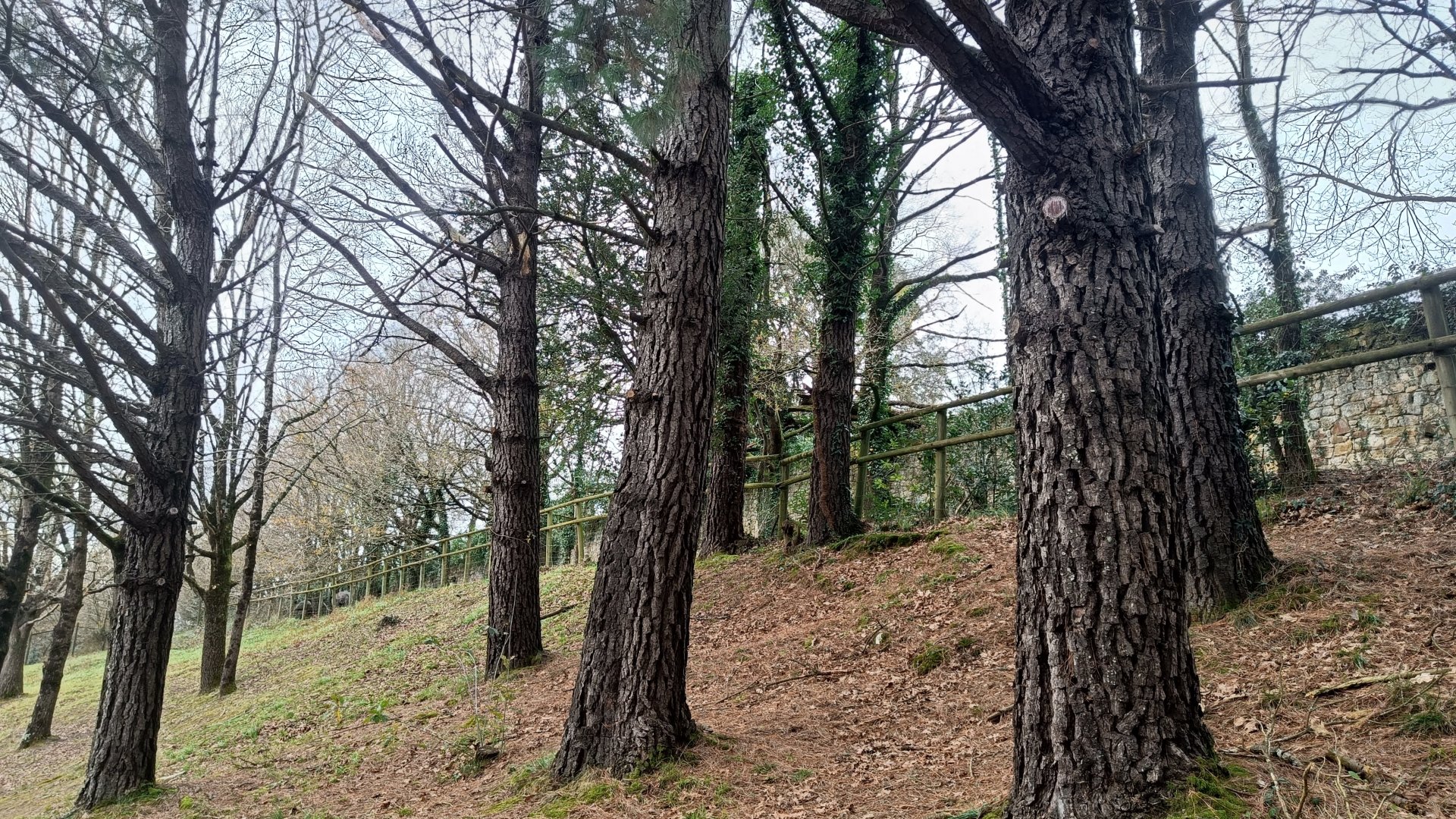 Karpín Fauna - Ratite enclosure