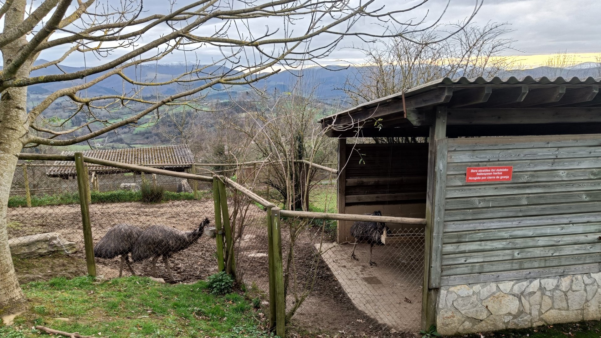 Karpín Fauna - Ratite enclosure