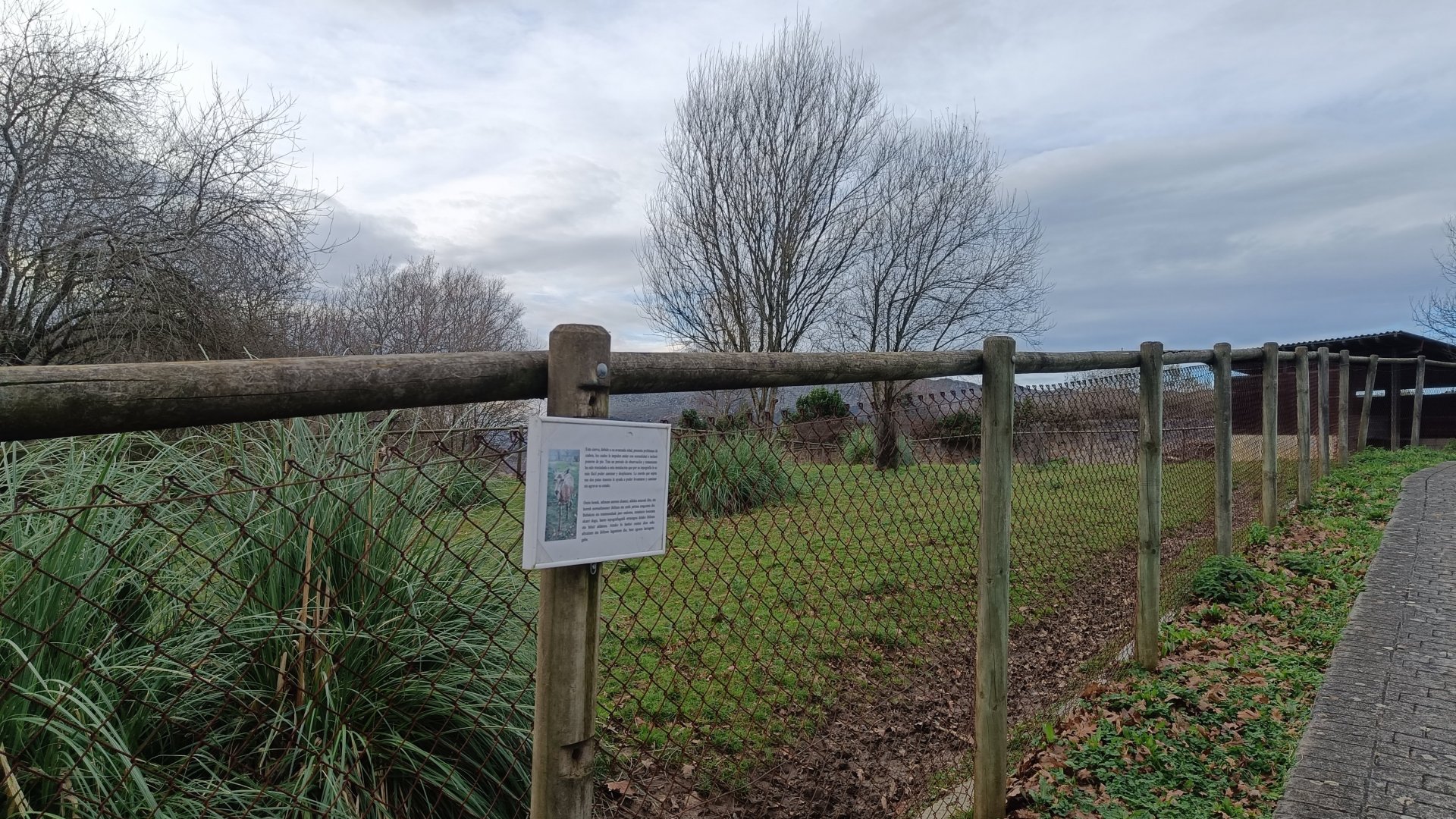 Karpín Fauna - Red deer enclosure