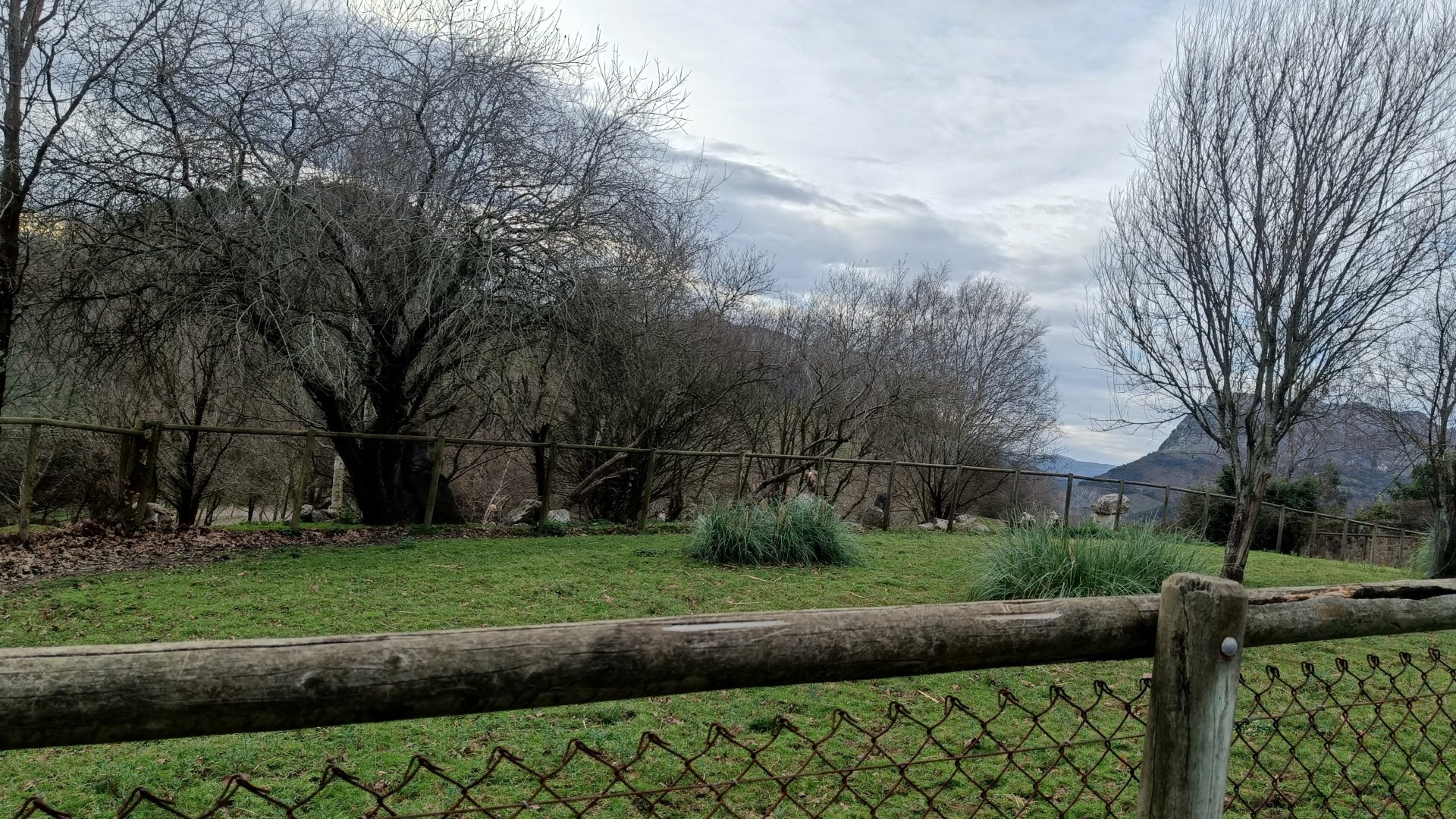 Karpín Fauna - Red deer enclosure