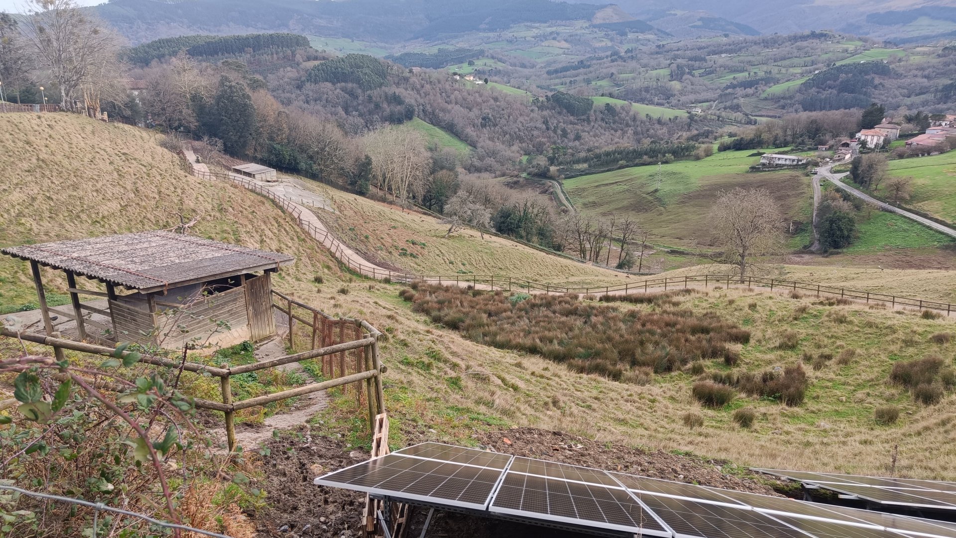 Karpín Fauna - Red deer enclosure