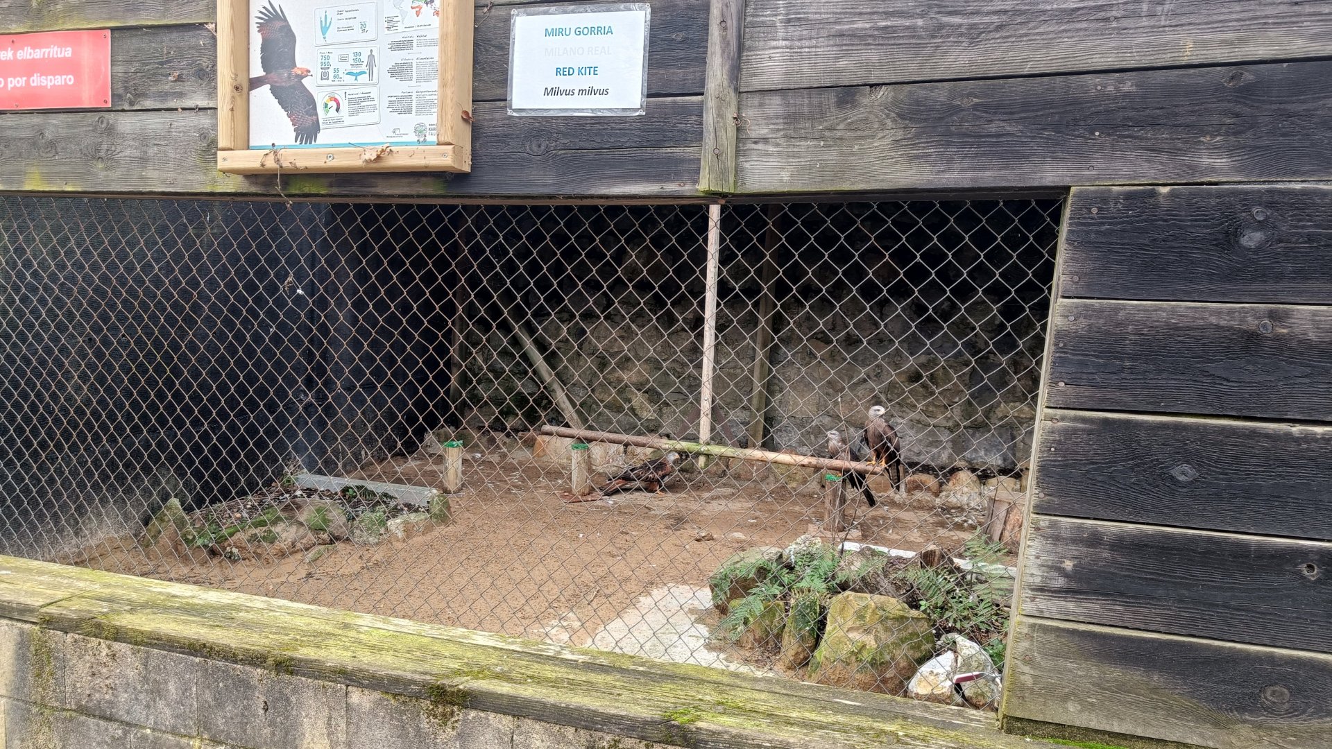 Karpín Fauna - Red kite enclosure