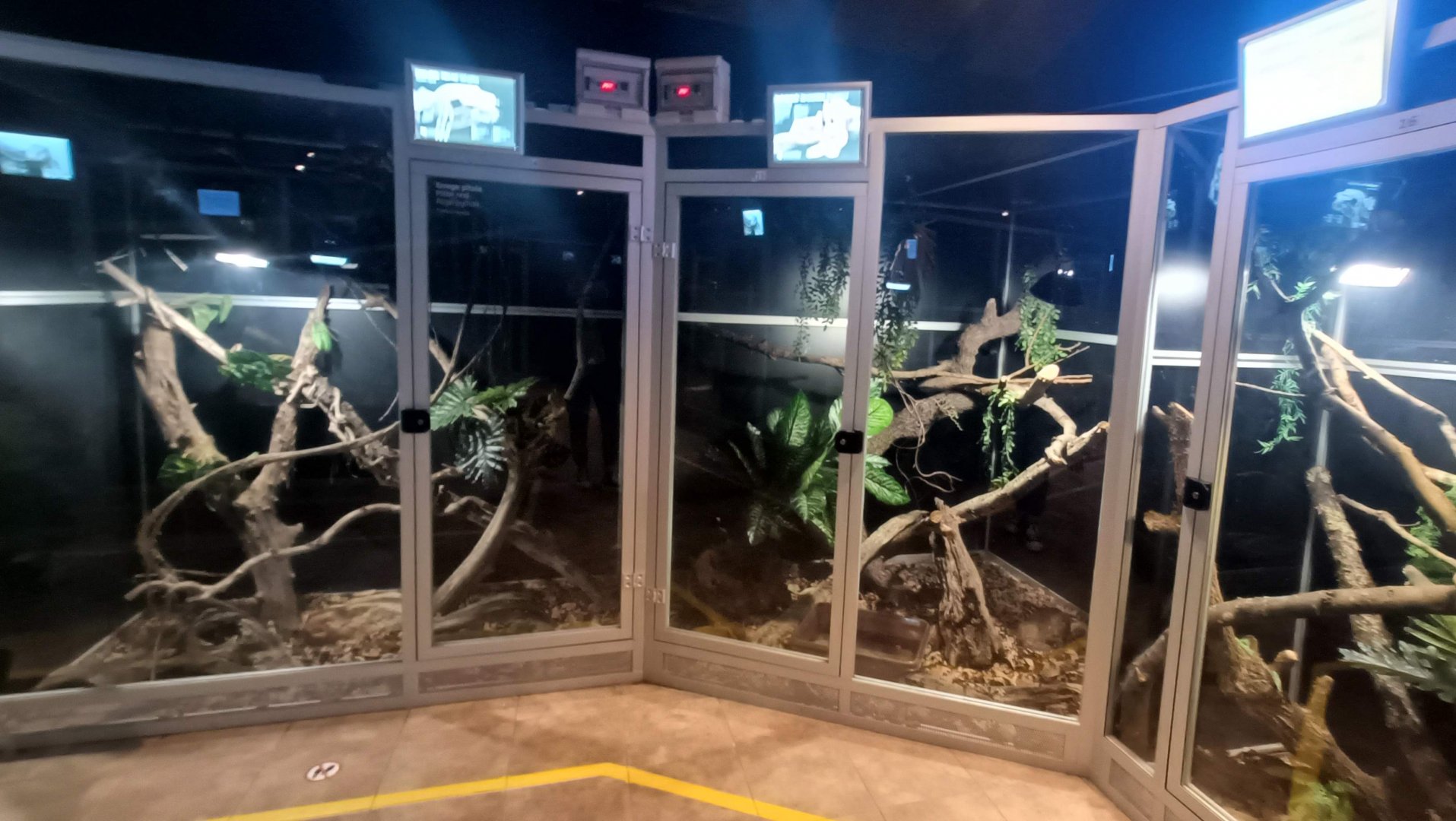 Karpín Fauna - Reptile house general view